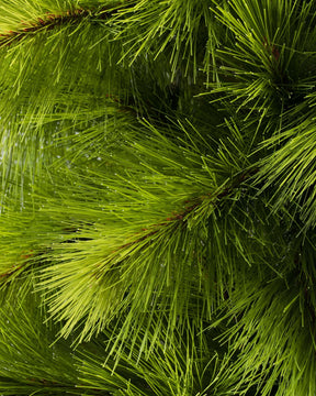 Árvore De Natal Com Micro LED Embutida